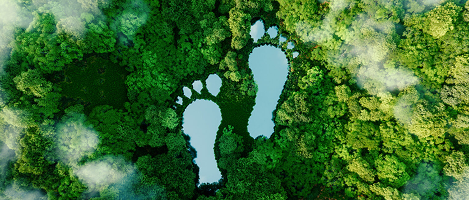 A lake in the shape of human footprints in the middle of a lush forest as a metaphor for the impact of human activity on the landscape and nature in general. 3d rendering. Schlagwort(e): 3d rendering