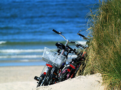 Fahrräder lehnen an einer Düne mit Blick aufs Meer