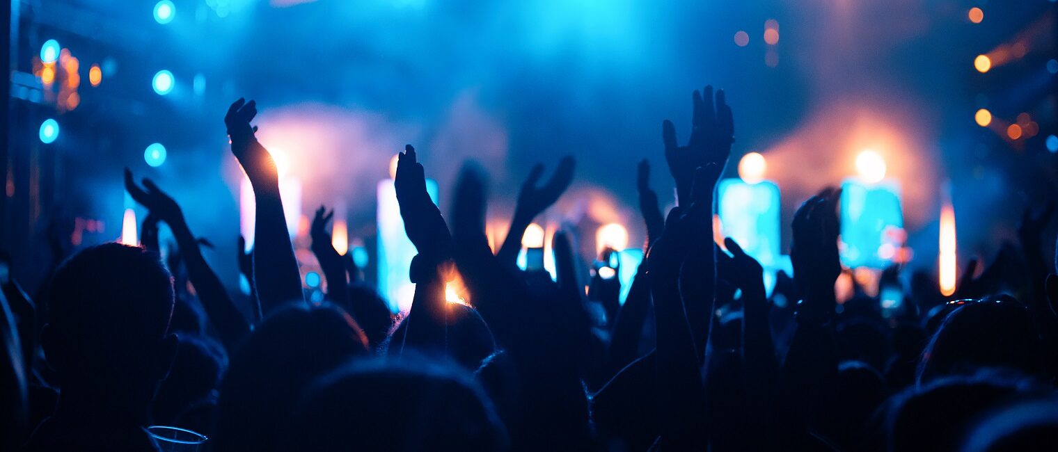 Party people enjoy concert at festival. Crowd at concert. Summer music festival