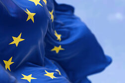 Europawahl 2024