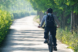 Mann fährt Fahrrad auf einem Radweg durchs Grüne.
