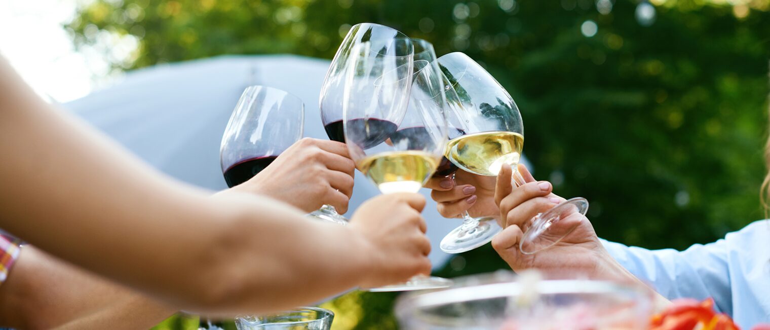 Sommerfest: mehrere Personen stoßen mit einem Gals Wein an