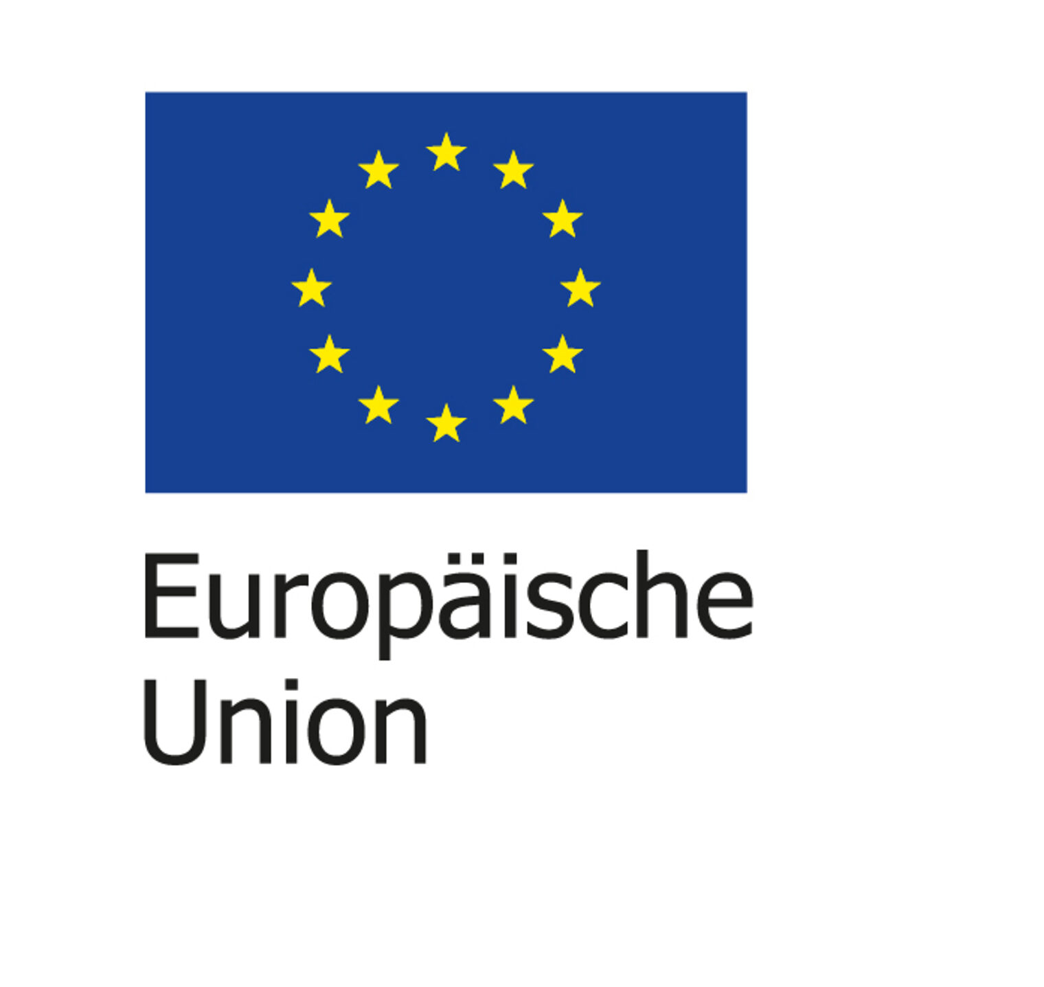 Europäische Union Log