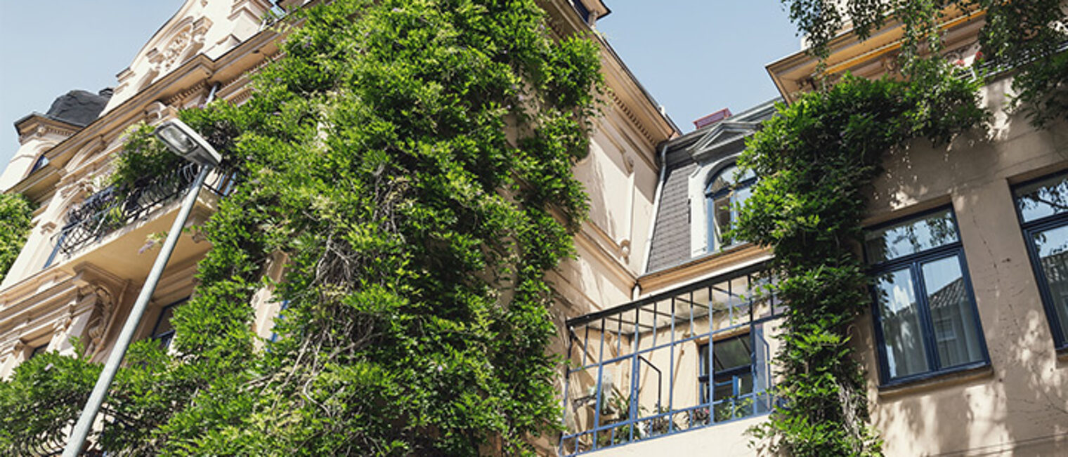begrünte Fassade